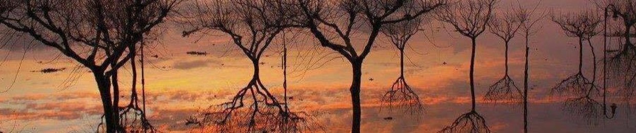 Escaped Trees