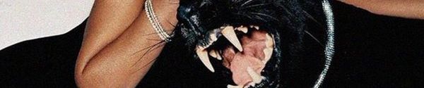 SoundCloud banner for @perfectly