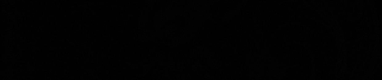 Alessandro Scotellaro