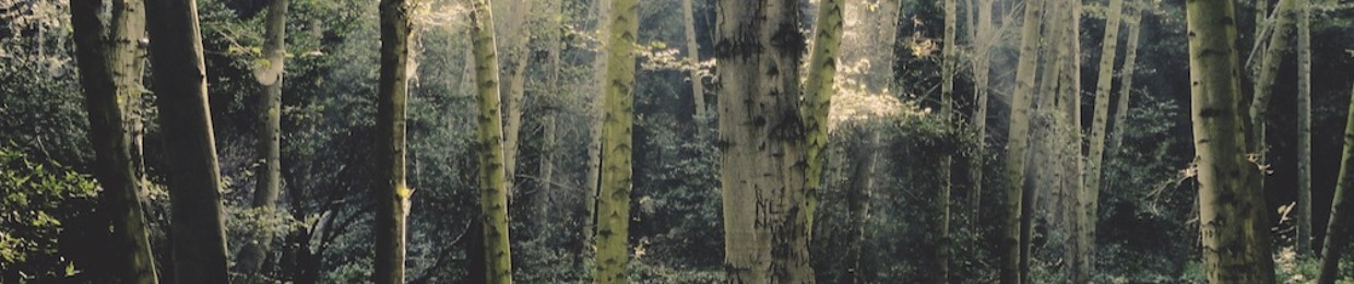 Forest Robots ™