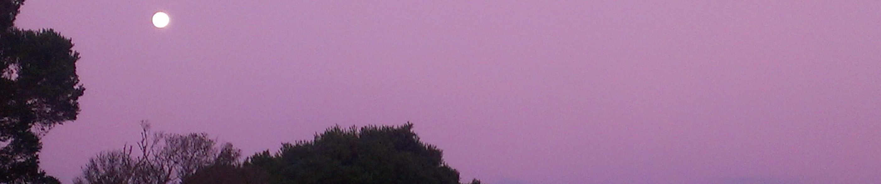 SoundCloud banner for @sanctimonious