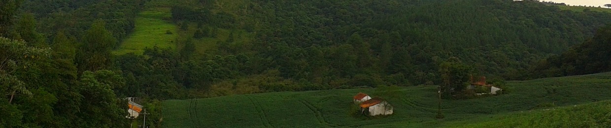 LucaszAraujo