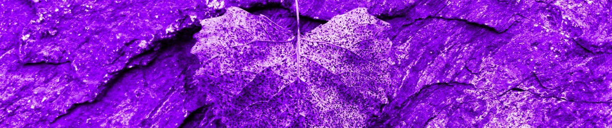 Purple Pen