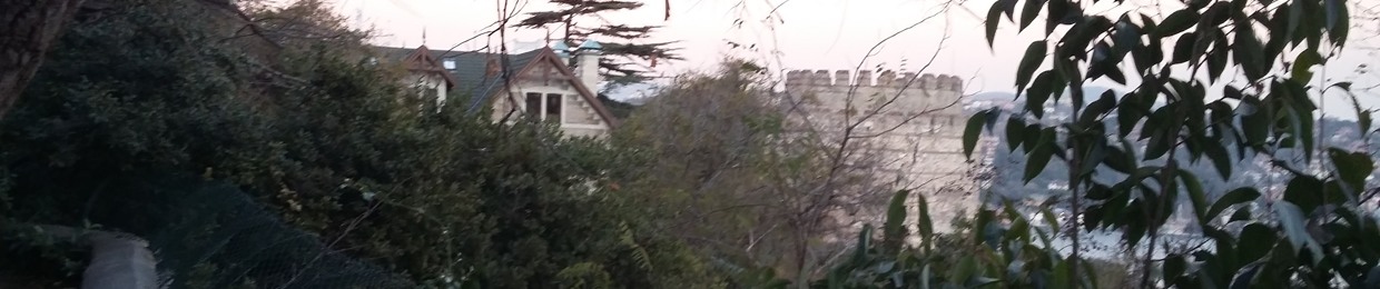 şenceylik