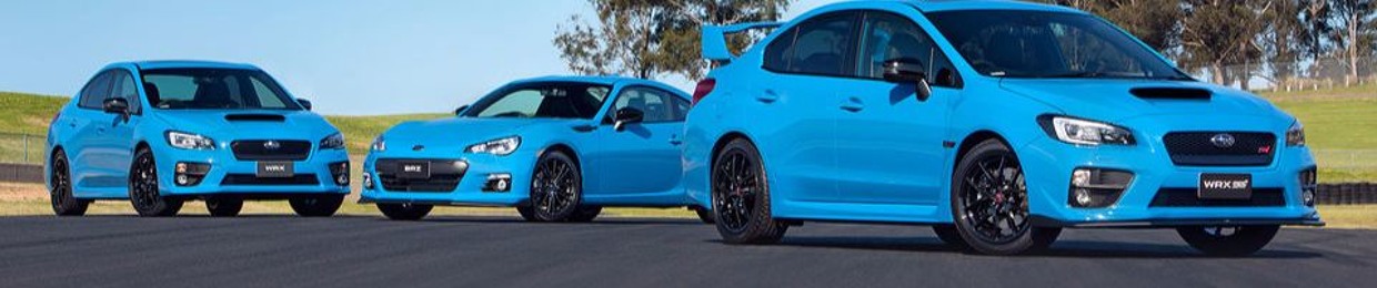 Patrick D'Alessandro