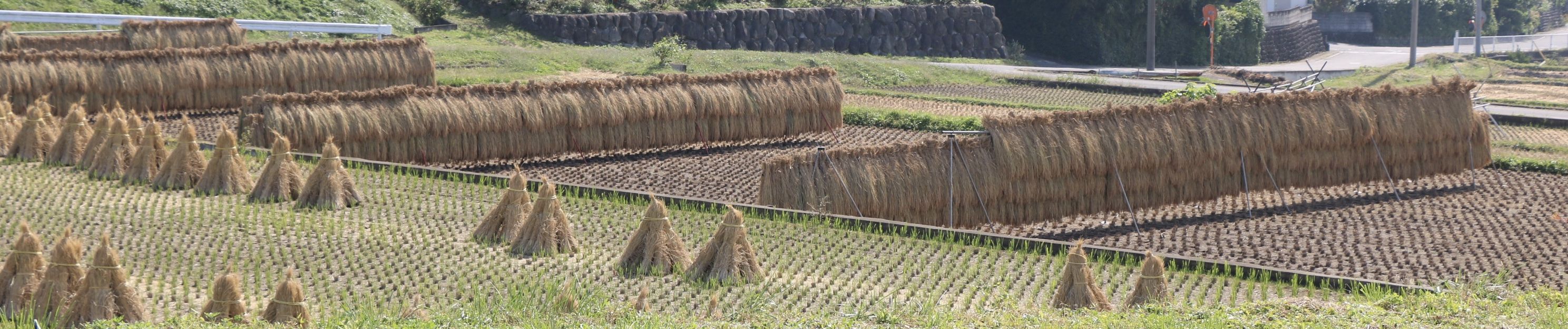 Stream くるり ばらの花 Remixed By Rei Harakami Slowed Bpm68 By ニュープロダクトショップ Tocc Listen Online For Free On Soundcloud