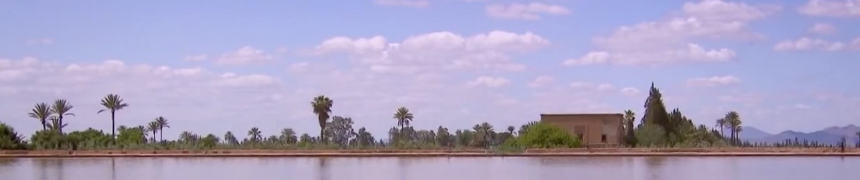 ππ¦ππ©π©π¬ ππ₯ππ―π¦