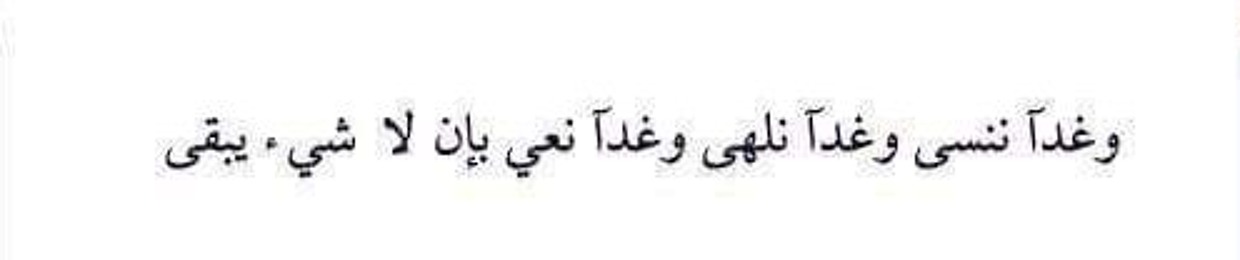 Tarek Mohamed 14