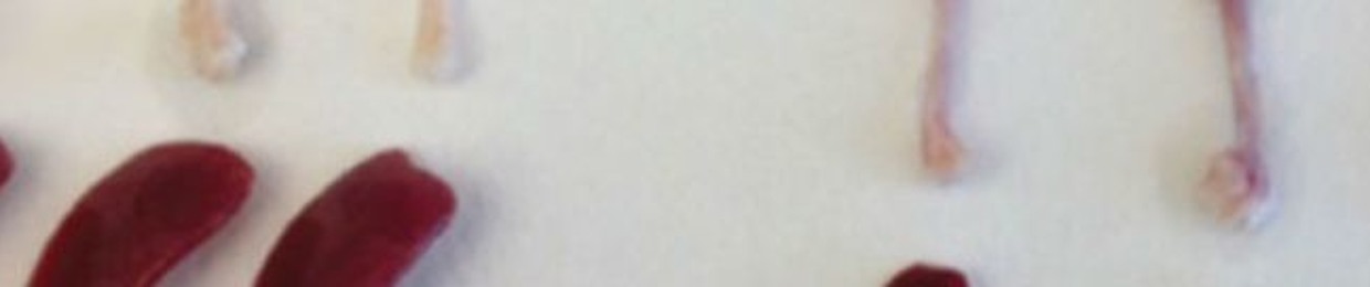 The Best Medicine with Erik Campano