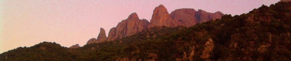 Gma Tuani