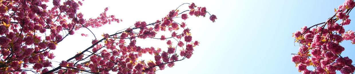 Matthias Untouchable