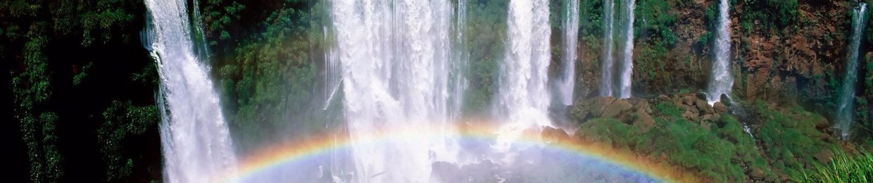 honey.moon.tree (Aslan T. Rife)