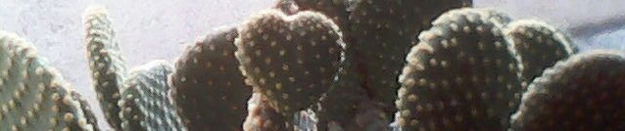 Jose Octavio DelaPaz