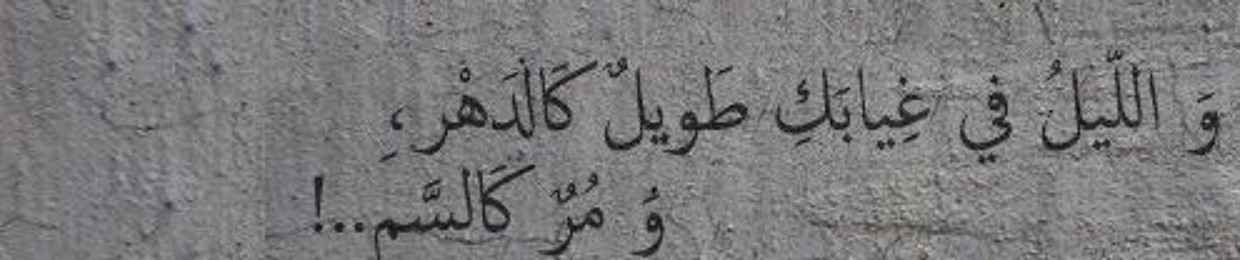Ahmed Sayed Ismail