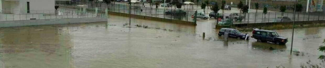 ♪ sAMUELE Biancofiore ©