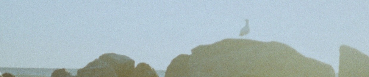 Alex Siegel