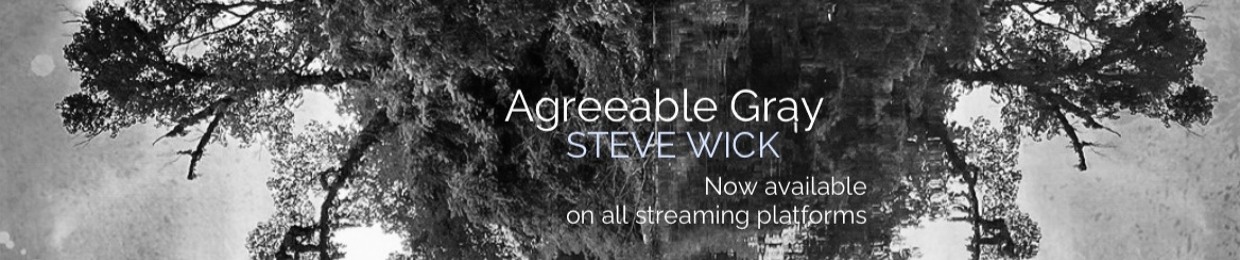 Steve Wick