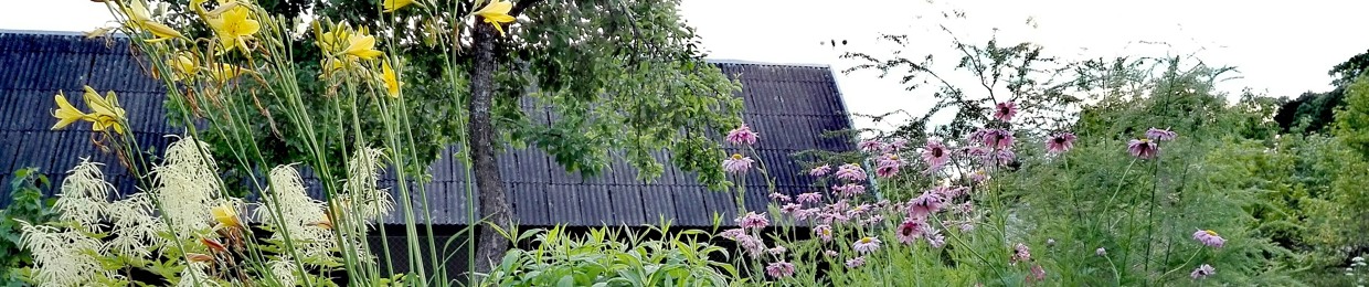 birgitjakitarr