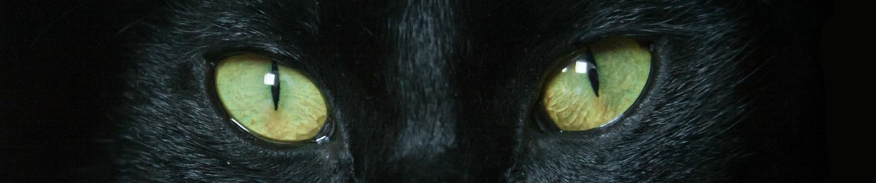 Black cat Ronin