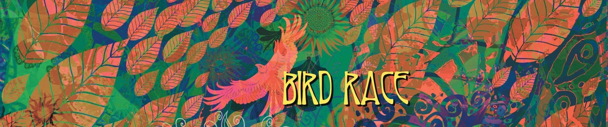 BIRD RACE