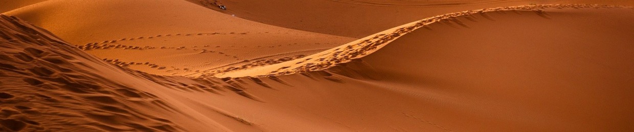 Ahmad Hesham