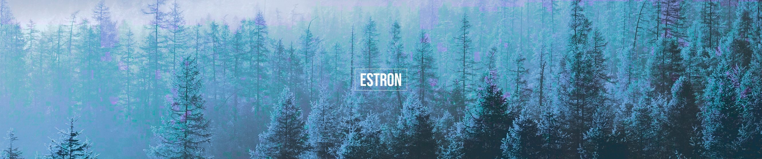 SoundCloud banner for @estron
