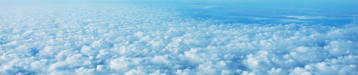 Erika Vibes Rodrigues