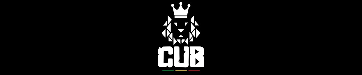 DJ Cub