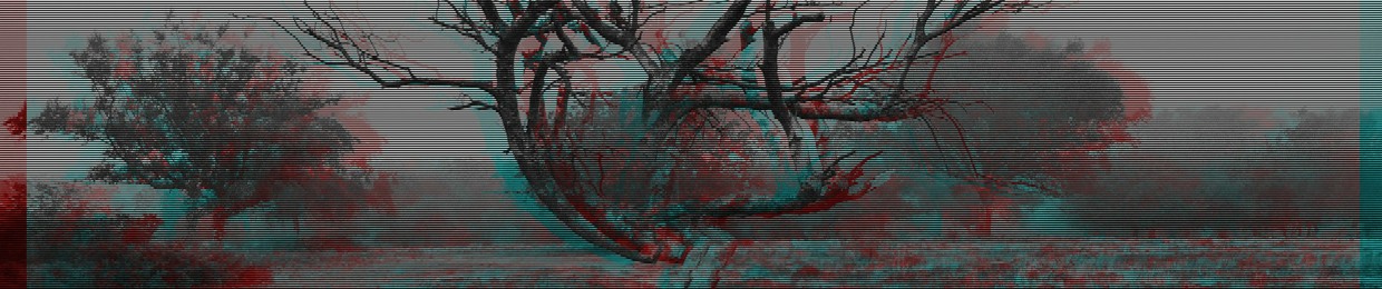 AstrøDragønfly