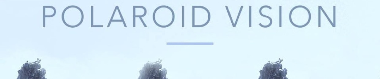 Polaroid Vision