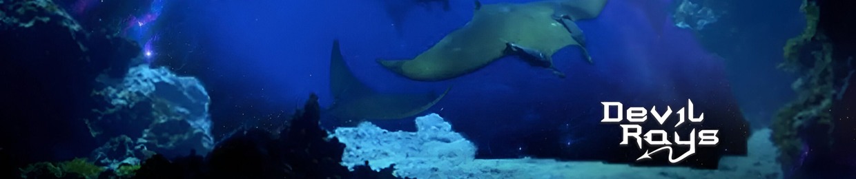 Devil Rays