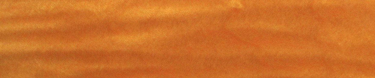 Ian Wood: 12 Strings