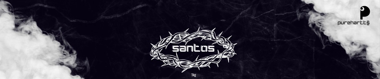 Santo