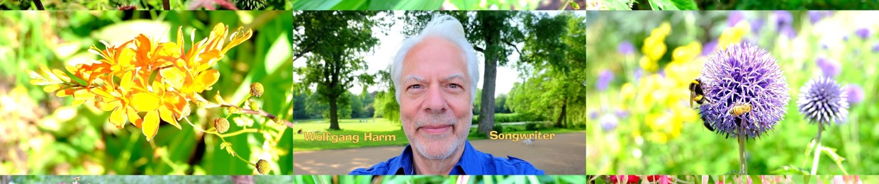 Ninado - Wolfgang Harm, Songwriter