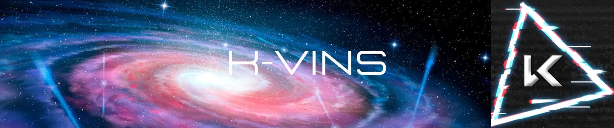 **K-VINS**