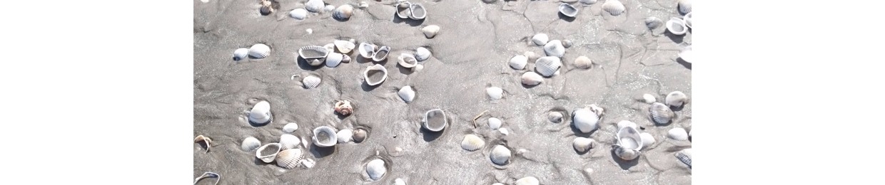 نرمين.ع.أبُو اليُسر