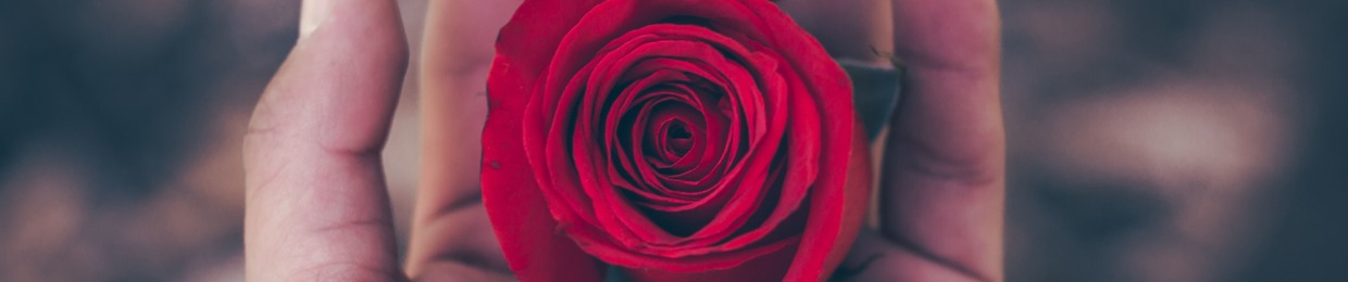 Mahmoud Ahmed Abdullhamed