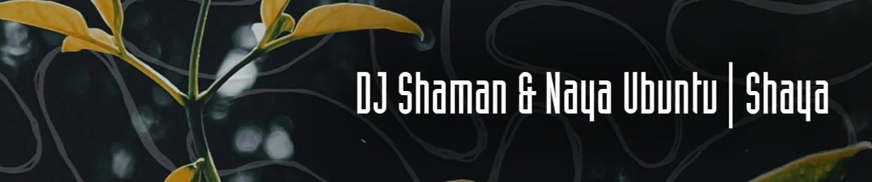 dj shaman