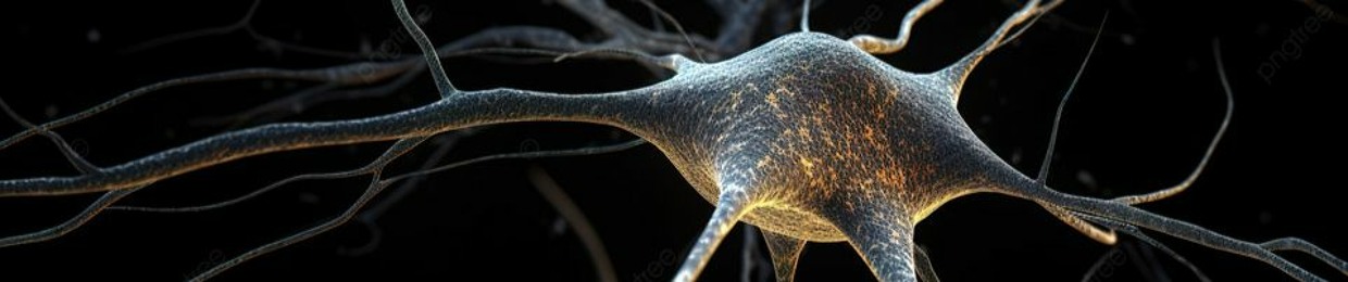Neuron No. 3