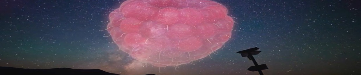 Floating Raspberry