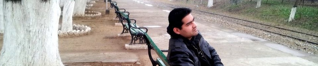Syed Basharat Hussain