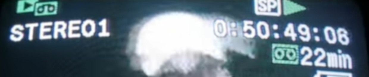 Shark Breach Archive