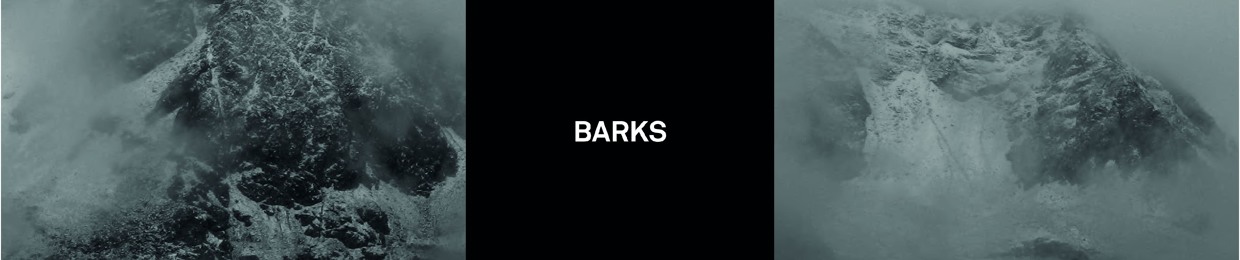 Barks music