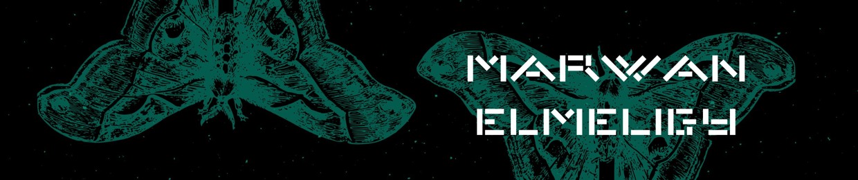 Marwan El-Meligy