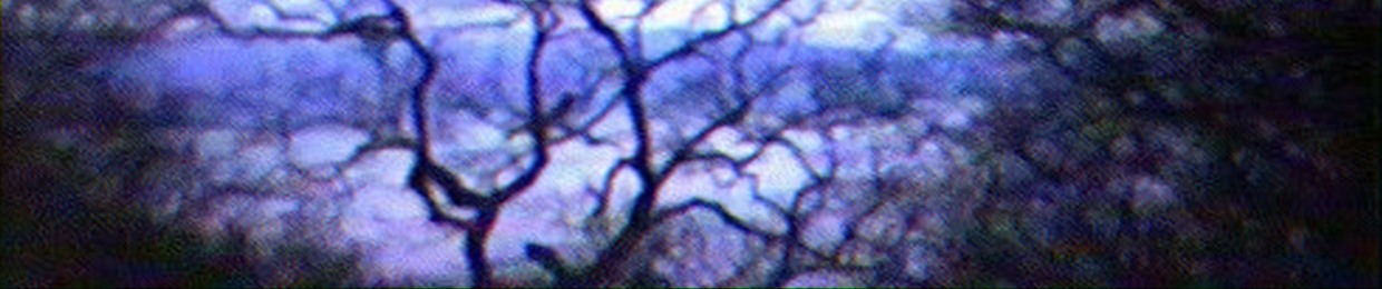 ⋆✴︎˚｡⋆M4XIM4⋆✴︎˚｡⋆