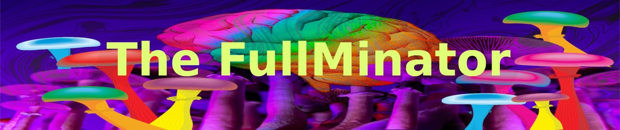 THE FULLMINATOR