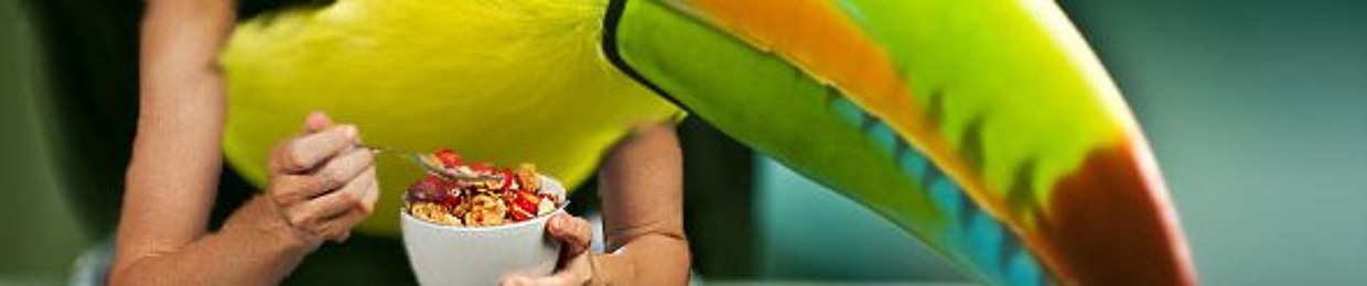 Toucan-do-it