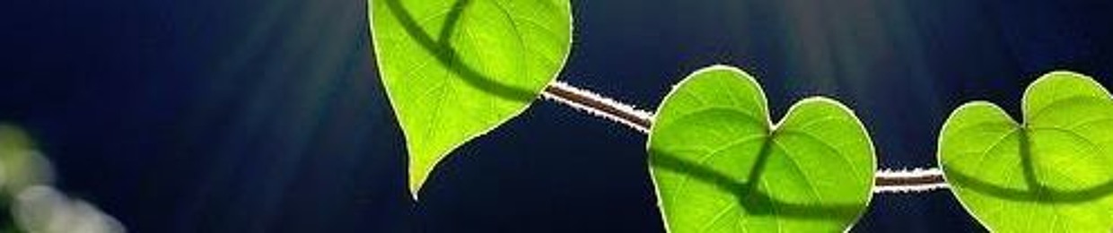 Eva Tree