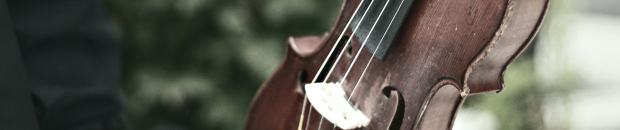 CI: Weddings, Events & Recordings