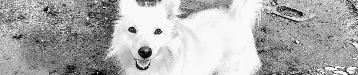 Tomasz Błaszkiewicz